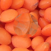 camouflaged prey on "lentils" background